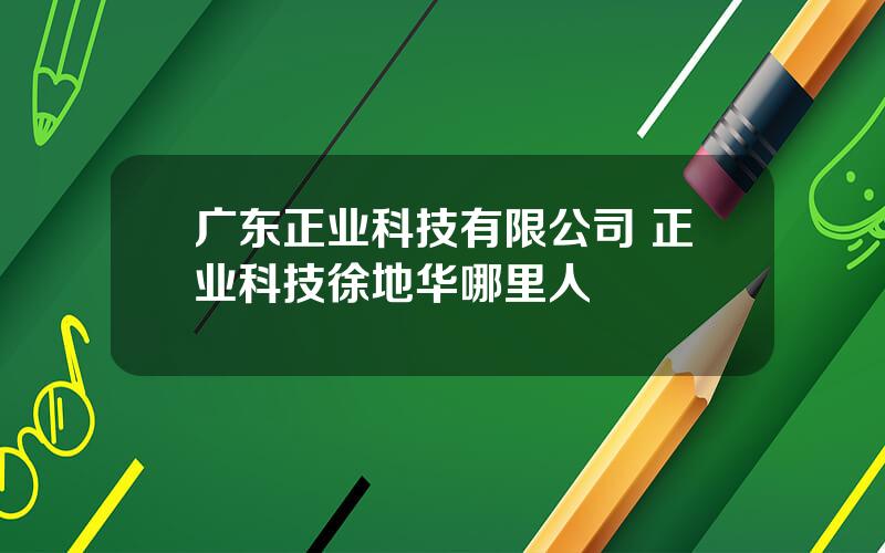 广东正业科技有限公司 正业科技徐地华哪里人